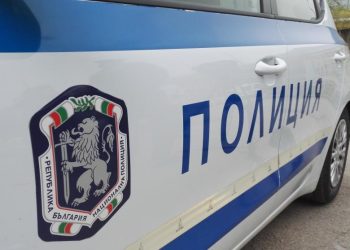 Пазач свил БМВ Х5