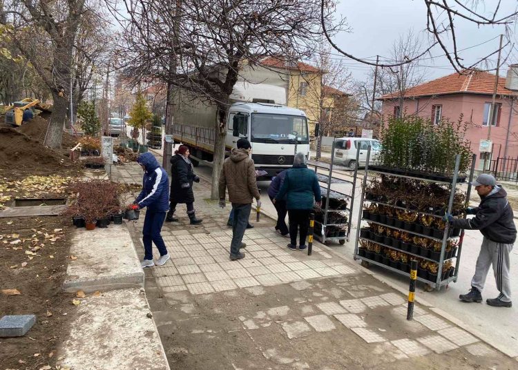 800 дървета и храсти залесиха в Куклен