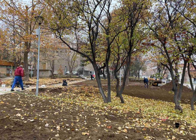 800 дървета и храсти залесиха в Куклен