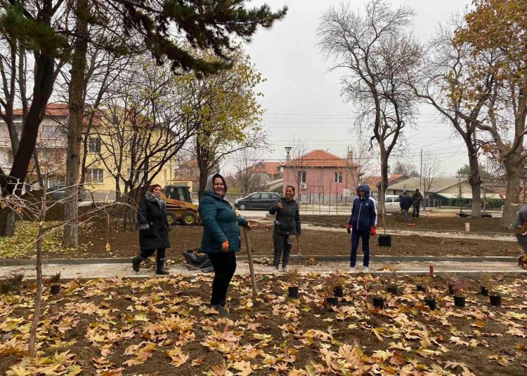 800 дървета и храсти залесиха в Куклен