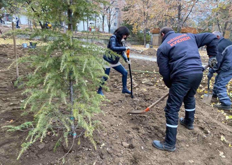800 дървета и храсти залесиха в Куклен