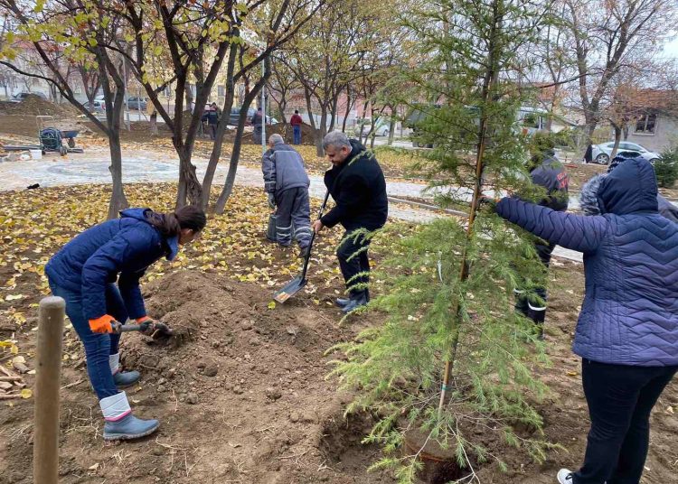 800 дървета и храсти залесиха в Куклен