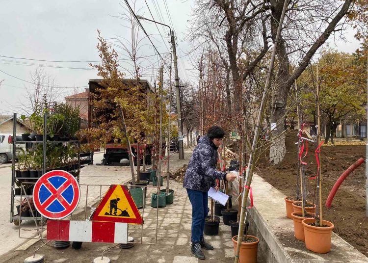 800 дървета и храсти залесиха в Куклен