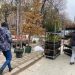 800 дървета и храсти залесиха в Куклен