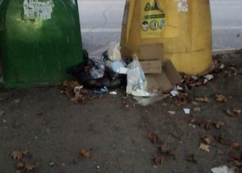 Вижте мурдарите в Станимака как хвърлят сметта