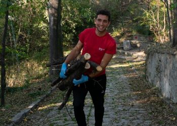 Забраниха износа на необработена дървесина
