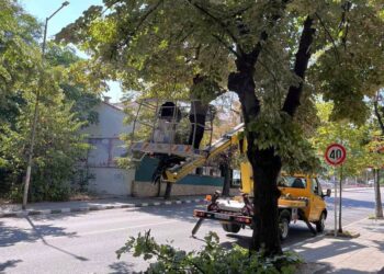 Резитба в Асеновград