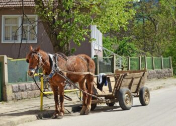 Каруцар опита да избяга от полицията